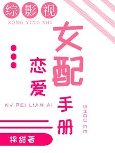 綜影視：女配戀愛手冊 封面